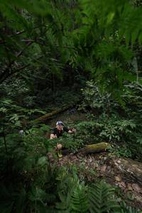 BIB: 
                            <button type="button" onclick="openModal(16029724)" class="btn btn-primary btn-sm float-right btn-popup" data-toggle="modal" data-target=".modal-high-quality">
                        <i class="fas fa-shopping-cart"></i> Add to Cart
                    </button>
                                            <button type="button" onclick="isThisMe(16029724, true)" class="btn btn-success btn-sm float-right btn-popup btn-isme hidden" data-toggle="tooltip" data-placement="bottom" title="นี่คือรูปของคุณใช่ไหม คลิกที่นี่เพื่อเอาเข้าอัลบั้ม">
                        <i class="fas fa-plus"></i> Add to album
                    </button>
                    <button type="button" onclick="isThisMe(16029724, false)" class="btn btn-warning btn-sm float-right btn-popup btn-isnotme hidden">
                        <i class="fas fa-ban"></i> Remove from album
                    </button>